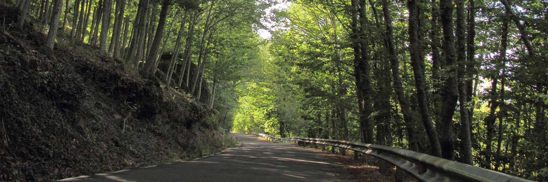 Incidencias en la red de carreteras