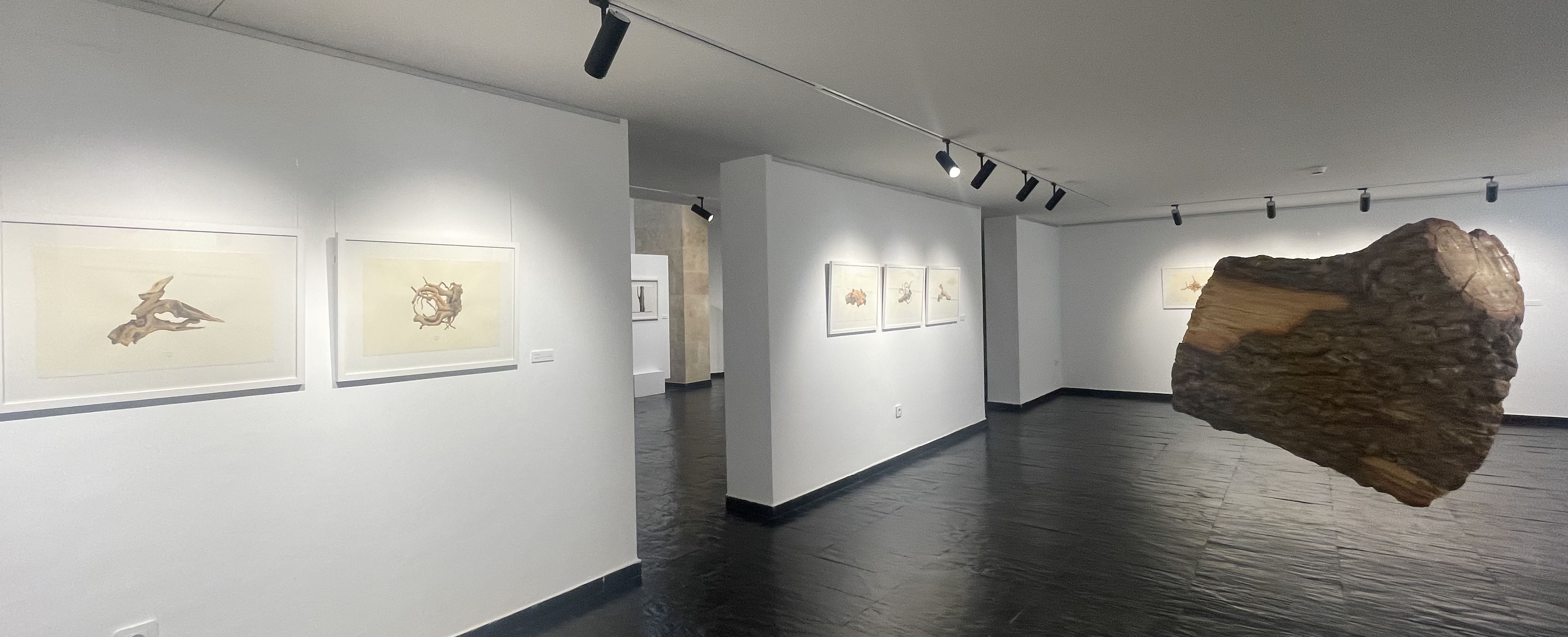Imagen de la exposición
