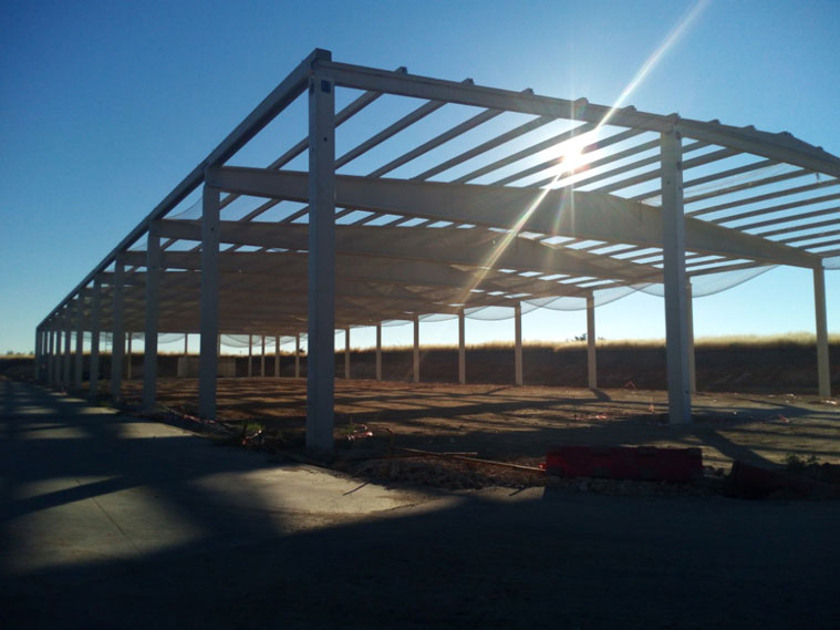 Nave-maduracion-en-construccion-2