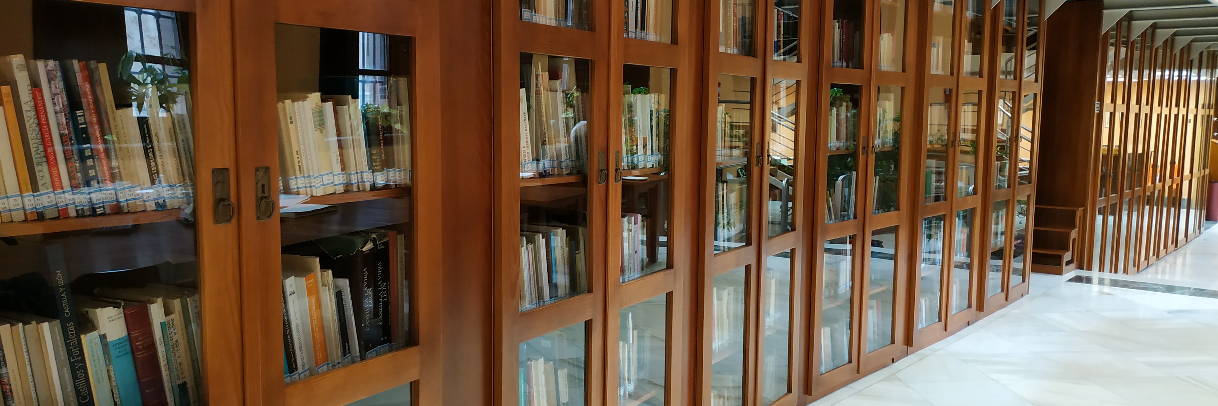 1_biblioteca_estanterias_836x206p