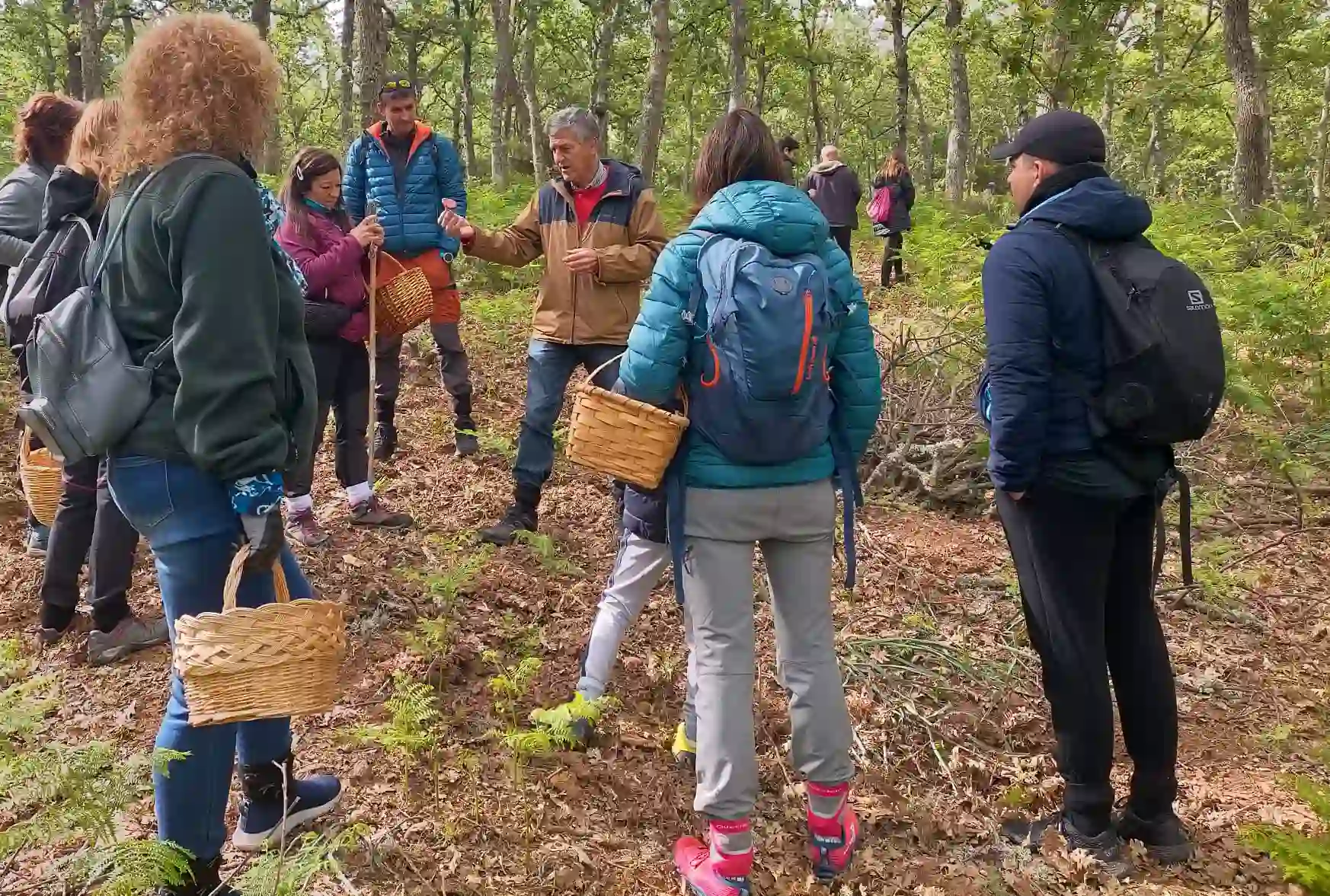 Salamanca cerró 2024 como un buen año micológico. Desde el 1 de enero se pueden obtener los permisos para la campaña 2025