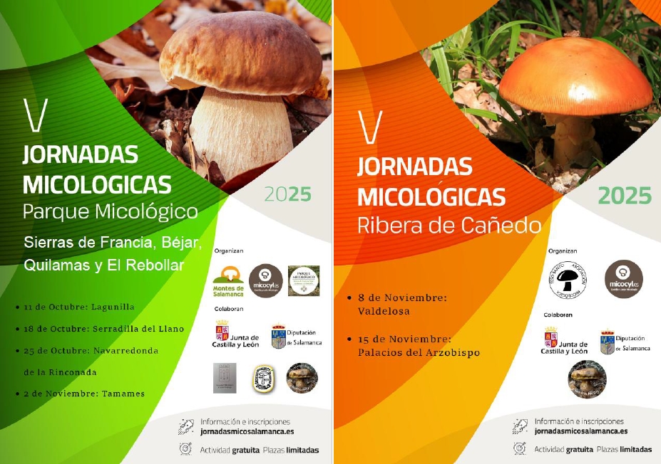 Cartel V Jornadas Micológicas