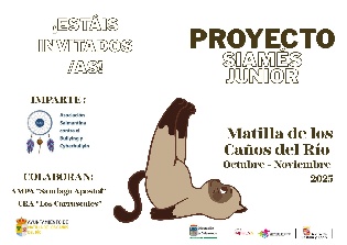 Proyecto siamés junior.