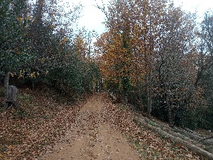Depende de ti