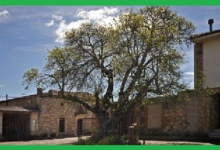  Depende de ti