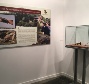 Exposición Vive la Dehesa 2018.