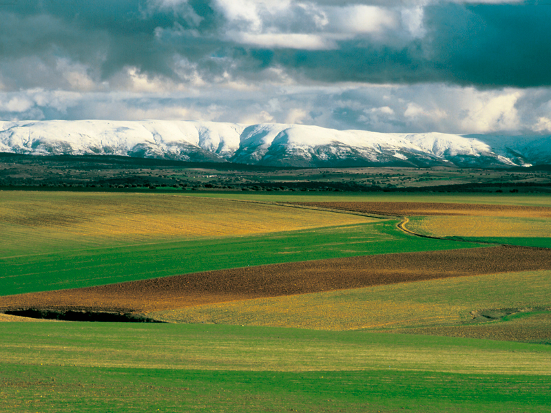 agricola02