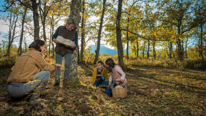 Imagen de una familia recogiendo setas.