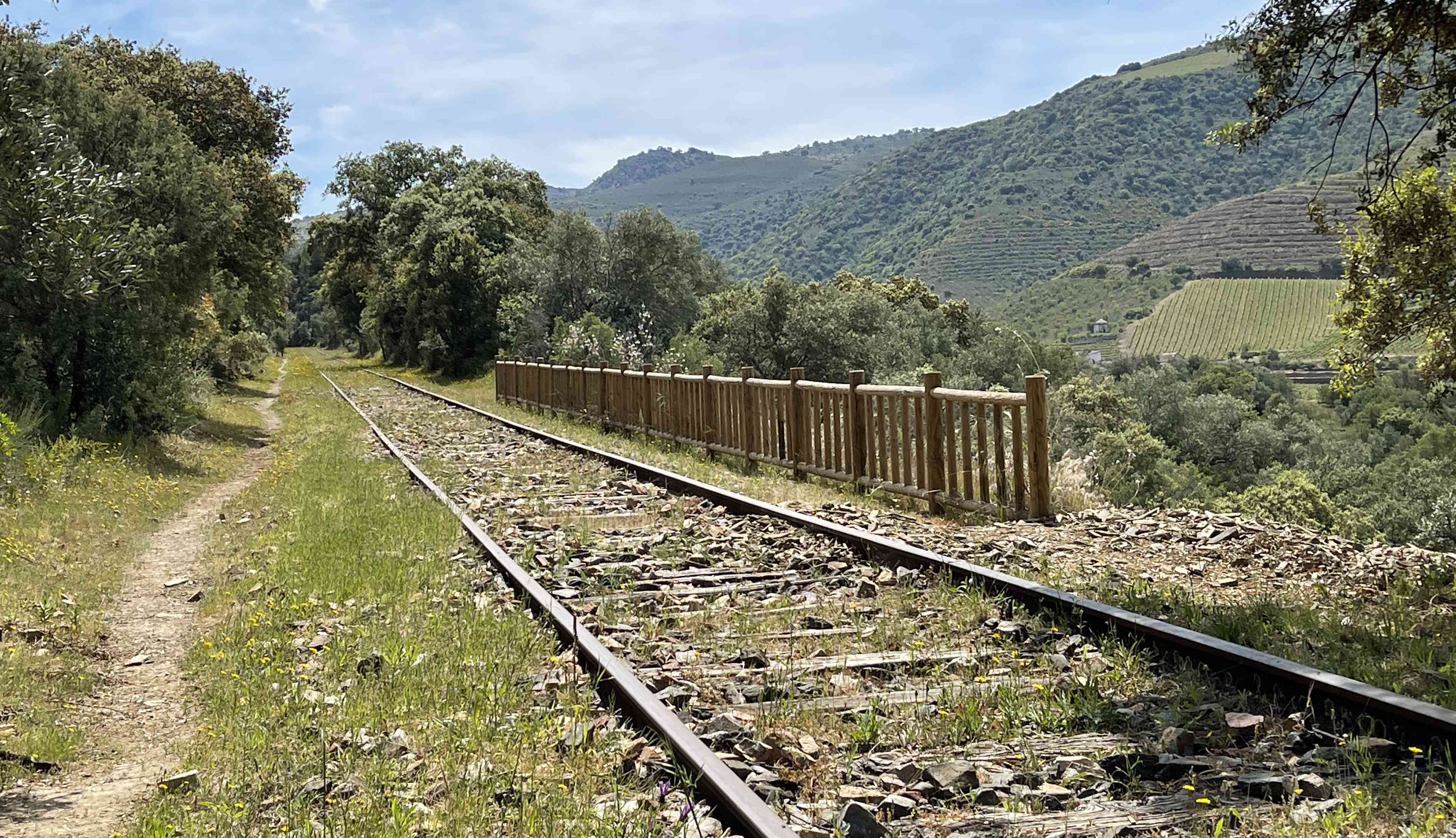 La Diputación abre convocatoria para que los escolares de la provincia realicen visitas guiadas al Camino de Hierro y La Fregeneda