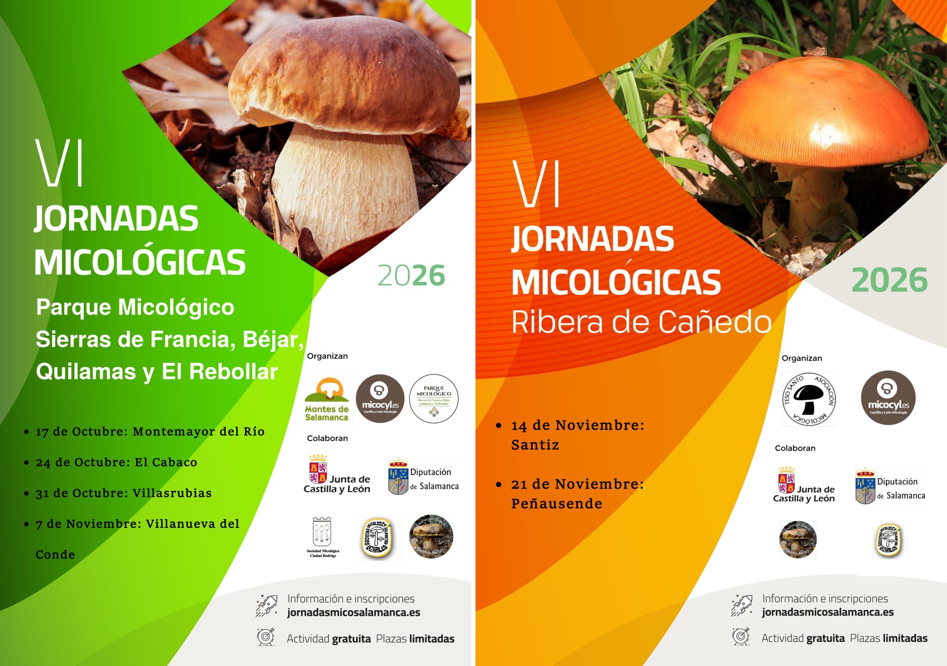 Cartel Jornadas Micológicas Otoño26